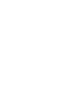 image of tick