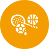 an image of types of sports