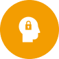 brain image